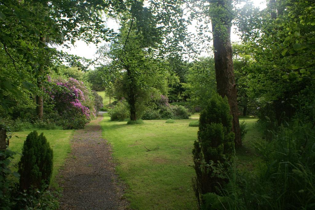 Bed and Breakfast Moorlands Parracombe Zewnętrze zdjęcie